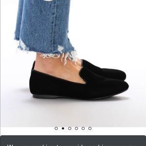 Birdies Starling black velvet